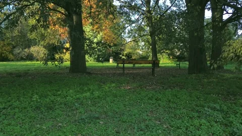 Walking Through Public Park Pathway Seeking a Resting Spot 스톡 동영상 333598983