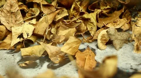 Walking through a puddle Stock Footage 10750049