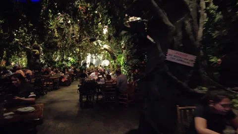 Walking Through Rainforest Care Past Diners And Trees And Foliage 002 Stock Footage 247007983