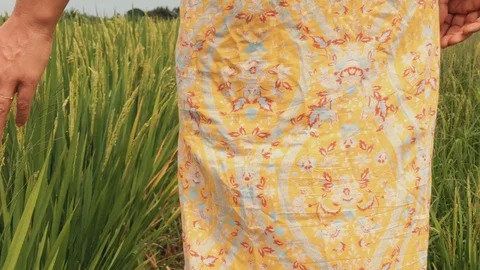 Walking through the rice field and stroking the green grass in Bali 스톡 동영상 119557788