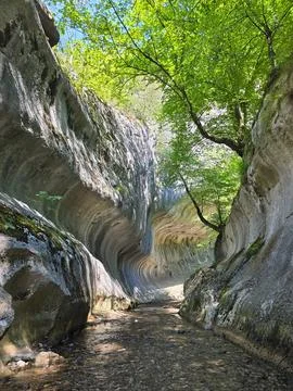 Walking through the river of the Cheile Banitei gorges Stock Photos