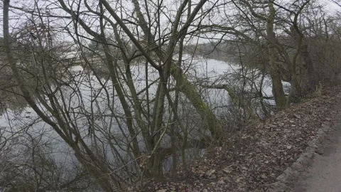 Walking Through a Riverside Park with Trees and Green Landscape 動画素材 337381327