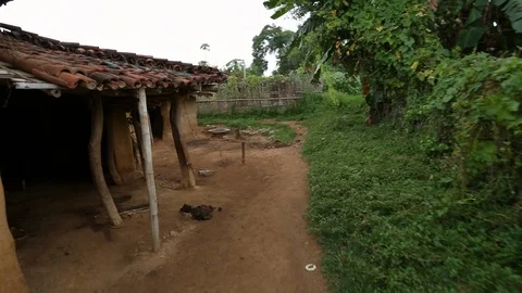 Walking through a rural village in IndiaStock Footage