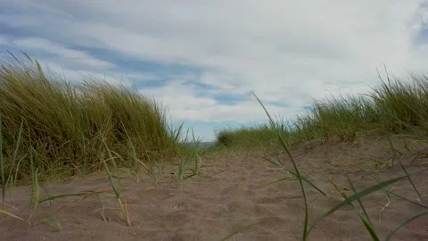 Walking through the sand dunes Video stock 200542089