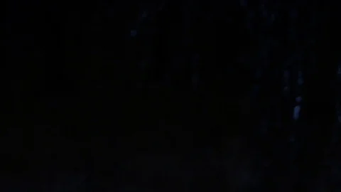 Walking through a scary forest Stock Footage 69862088