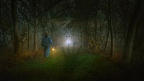 Walking Through Scary Woods Stock Footage 99416950