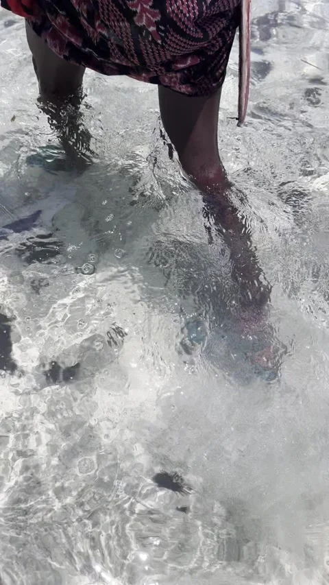 Walking through sea urchins shallow water low tide Zanzibar ocean HD vertical Vídeo Stock 342170547