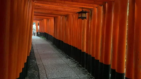 Walking Through Senbon Torii Gate Tunnel – Fushimi Inari Shrine, Kyoto Stock Footage 247420992