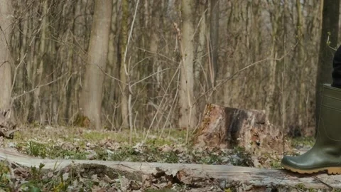 Walking through a serene forest while wearing comfortable rubber boots on a Stock Footage 305267049