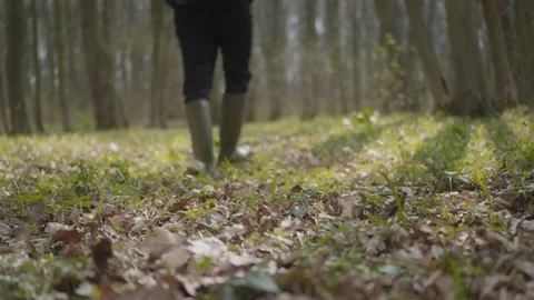 Walking through a serene forest while wearing comfortable rubber boots Stock Footage 305407164