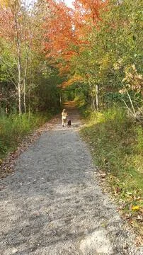 Walking through the Shadows 库存照片