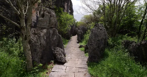 Walking through the Shilin Stone Forest in Kunming, narrow way Vidéo 329474471