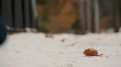 Walking through snow 01 Stock Footage 1044515