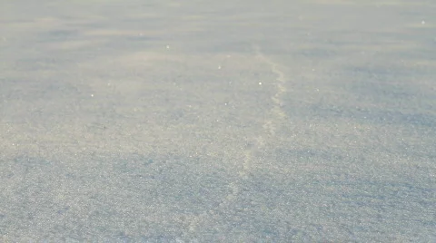 Walking through the snow 2 Stock Footage 743672