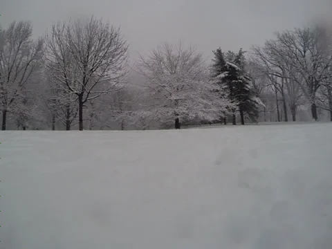 Walking through snow 2 库存影片 34652545