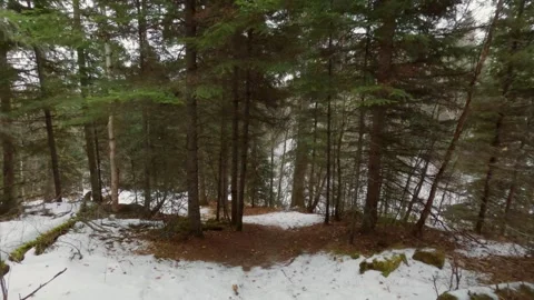 Walking through snow covered forest Stock Footage 275291931