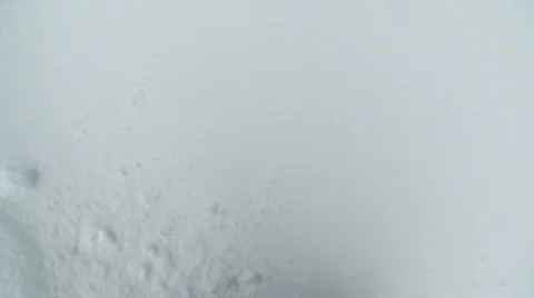 Walking through the snow Video stock 333680