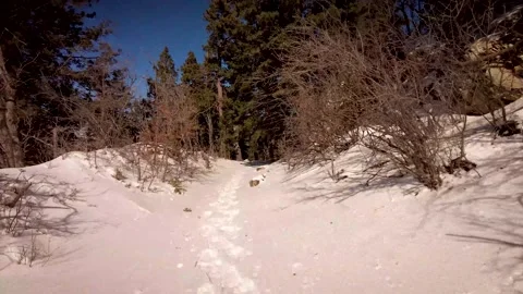 Walking through the snow Stock Footage 168111701