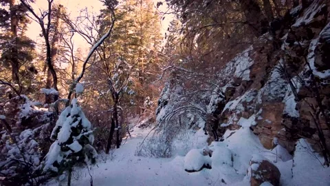 Walking through the snow Stock Footage 168111767