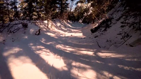Walking through the snow Stock Footage 168111769
