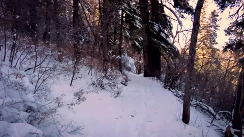 Walking through the snow Stock Footage 168112281