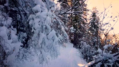 Walking through the snow Video stock 168112350