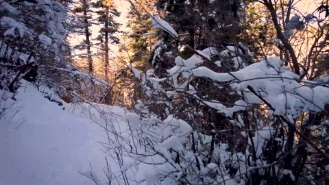 Walking through the snow Stock Footage 168112357