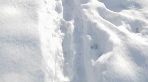 Walking through the Snow POV  Winter Stock Footage 45891409