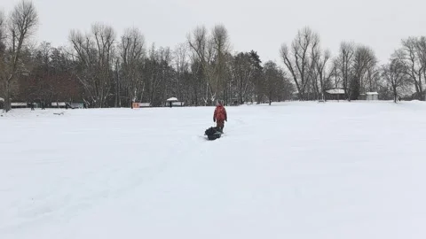 Walking through snow with a sled in a quiet park on a winter day Stock Footage 340106758