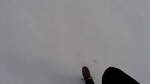 Walking through snow in Snowy Mountains Australia Stock Footage 71604705