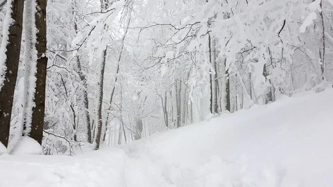 Walking through a snowy forest 動画素材 86849440
