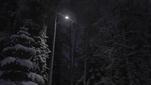 Walking Through A Snowy Forest At Spooky Night Stock Footage 261208705