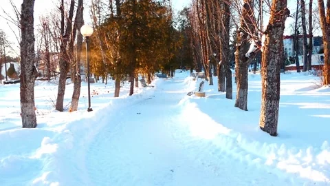 Walking through a snowy park in winter with trees and sunlight in the afternoon Stock Footage 328416764