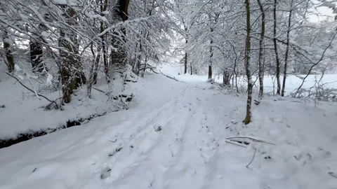 Walking through a snowy winter forest with snow-covered branches Stock-Footage 340607224
