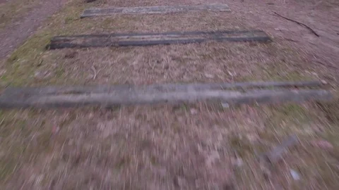 Walking through a spring forest. A sunny day Stock Footage 73836494