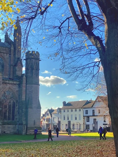 Walking through the streets during pandemic on a sunny autumn day in the park Stock Footage 165607668