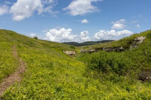 Walking through the subalpine meadows in the highlands during the flowering o Foto stock