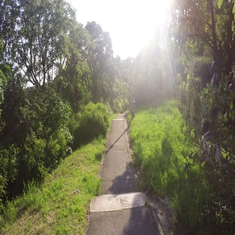 Walking through Summer Park Stock Footage 69120365