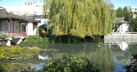 Walking through the sun yat sen garden Stock Footage 117922997