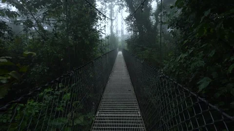 Walking Through Suspension Bridge in Costa Rica. Mistico Park's Hanging Bri.. Stock Footage 336924039