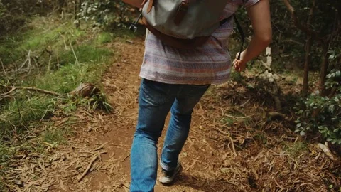 Walking Through Trees Stock Footage 75267286