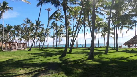 Walking Through Trees Of Tropical Resort Stock Footage 149006044