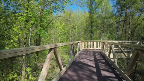 Walking through the treetops in a lush spring forest. Stock Footage 308521989