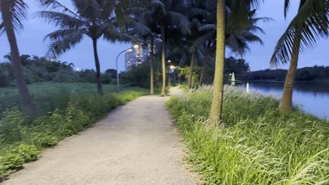 Walking Through A Tropical Blue Hour In Ecopark Stock Footage 335693205