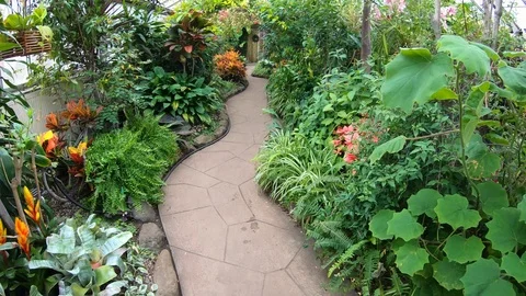 Walking Through Tropical Garden Path Hyperlapse Stock Footage 106518865