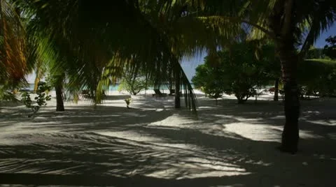 Walking through tropical island Stock Footage 10789433