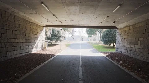 Walking through tunnel Vídeo Stock 194781331