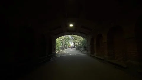 Walking Through Tunnel in Park During Daytime in Slow Motion Stock Footage 142318874
