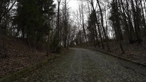 Walking through a winding path in a wooded area during the late afternoon Vidéo 338425617