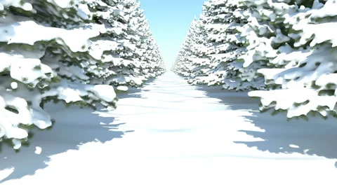 Walking through the winter fir forest in snow Video stock 119871828